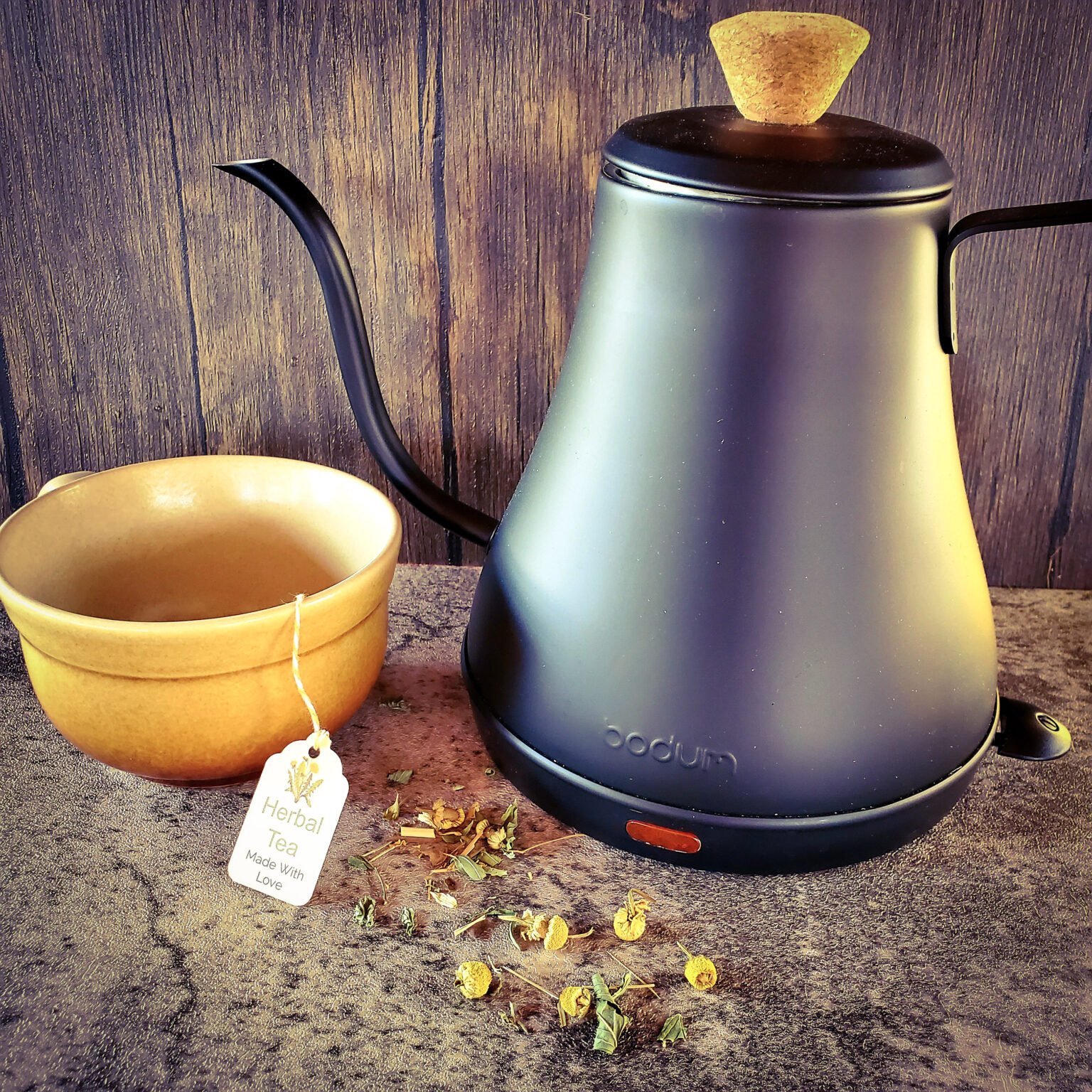 The Outdoor Apothecary beginner herbalist