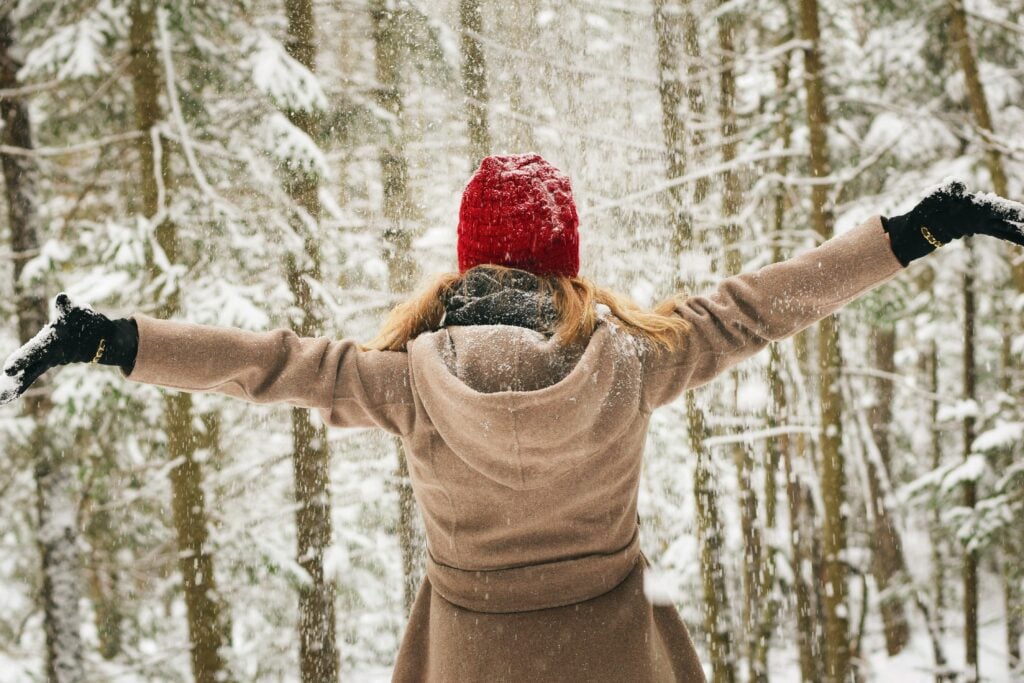 The Outdoor Apothecary nature in the winter