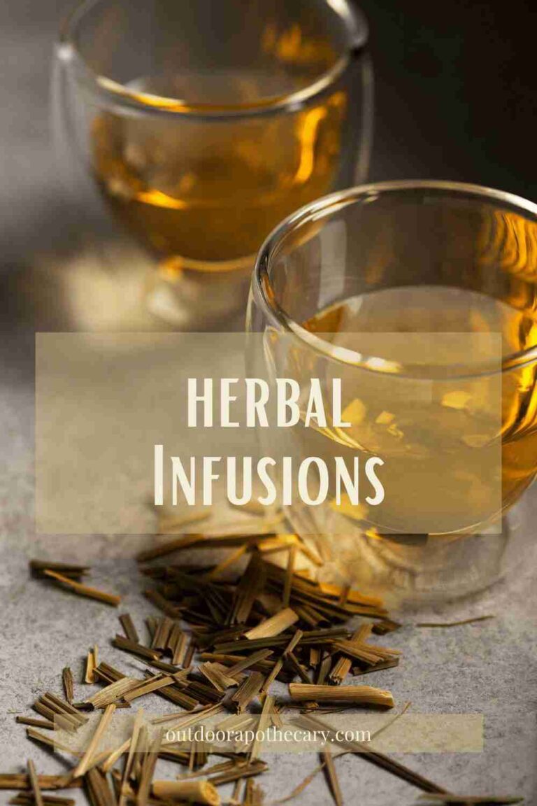 A Gurdyroot Infusion Understanding Herbal Infusions Plus 3 Delicious Recipes - The Outdoor ...