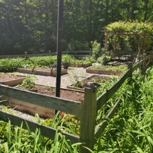 victory gardens