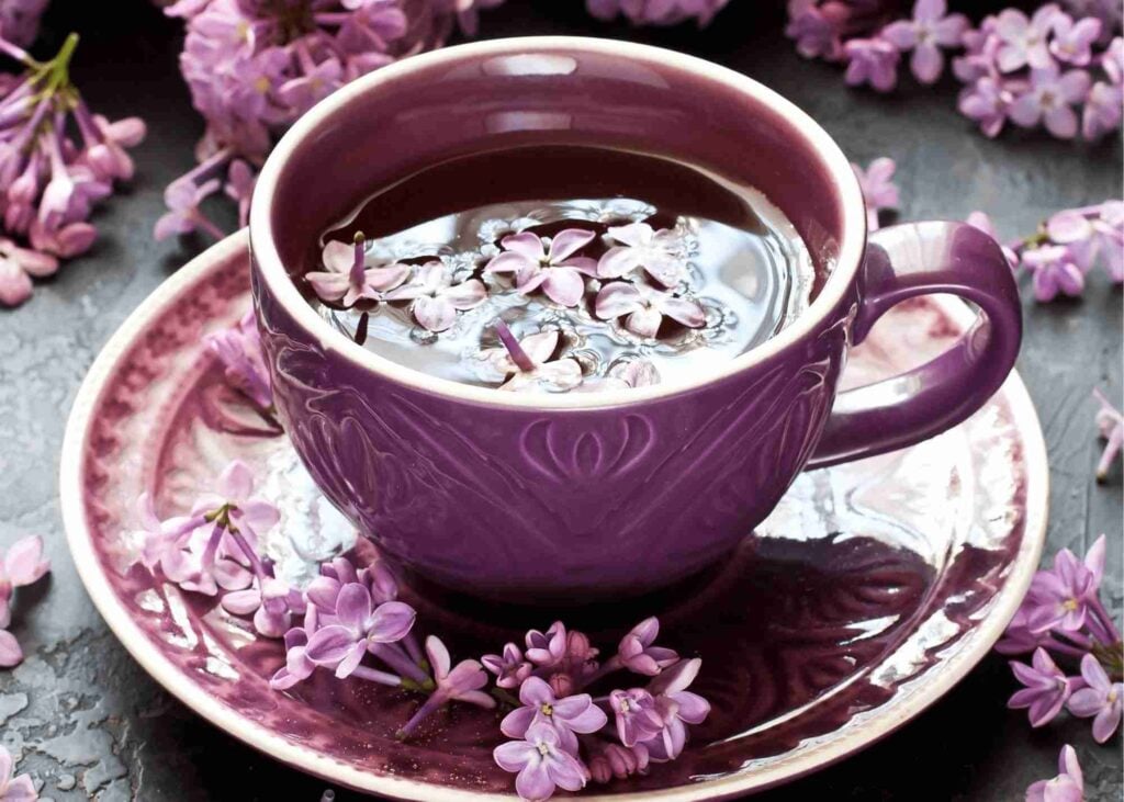 edible lilacs