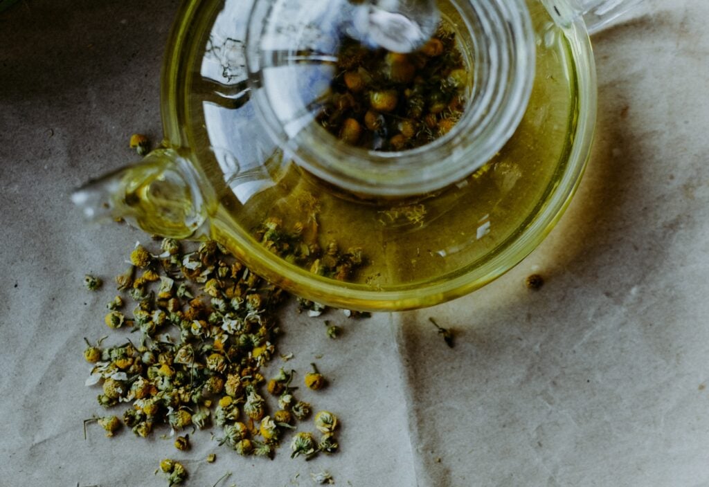 The Outdoor Apothecary growing chamomile