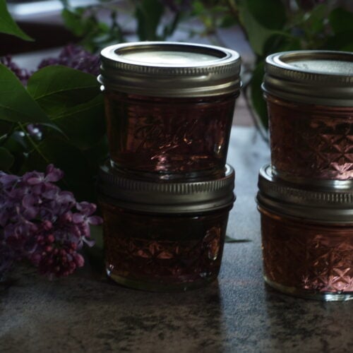 The Outdoor Apothecary edible lilacs - jelly jars with lilac jelly and lilac flowers on a countertop