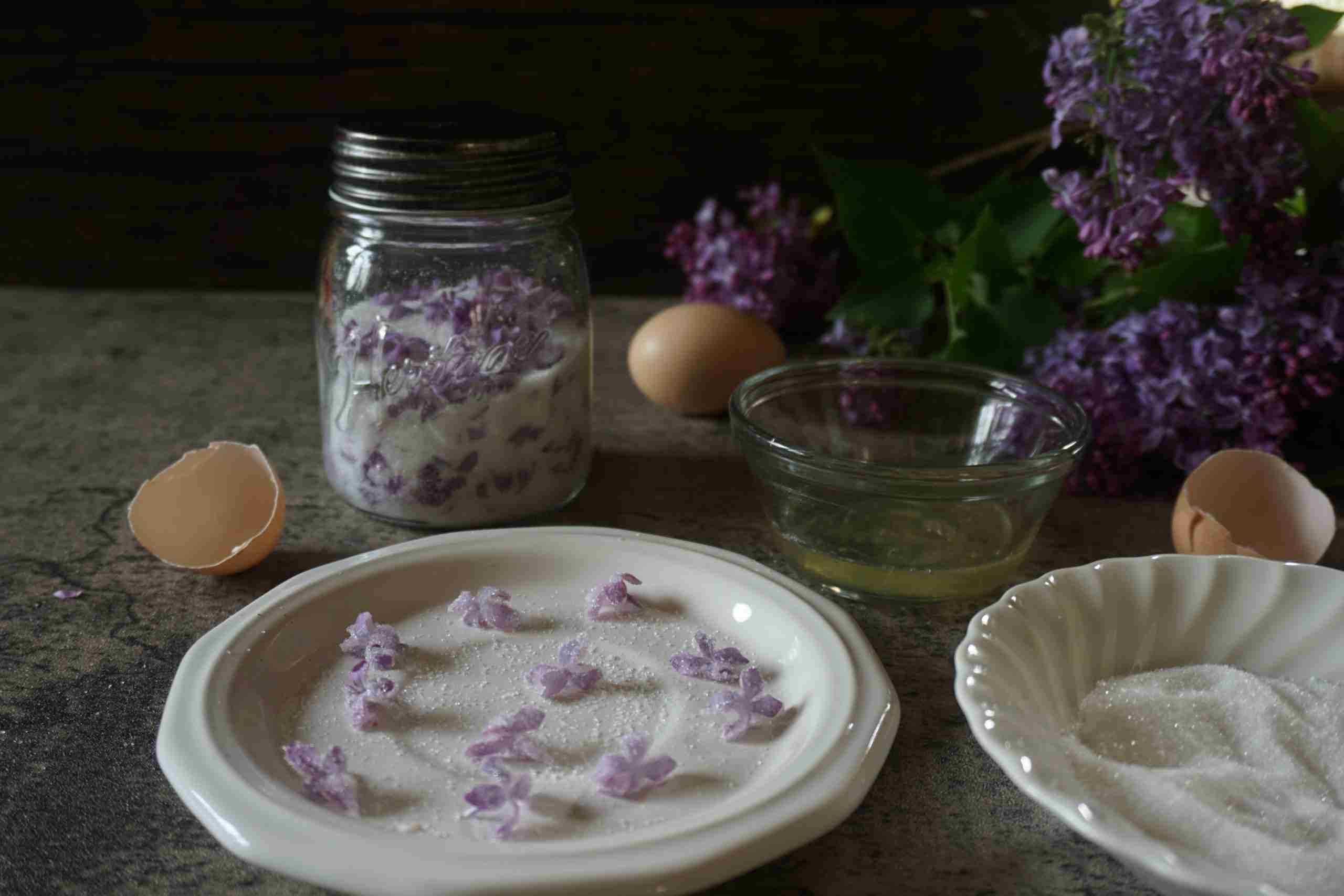Edible Lilacs: 7 Delicious Spring Recipes - The Outdoor Apothecary