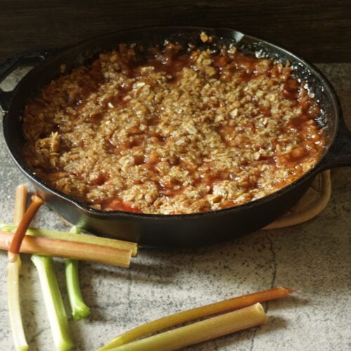 The Outdoor Apothecary easy rhubarb crisp recipe