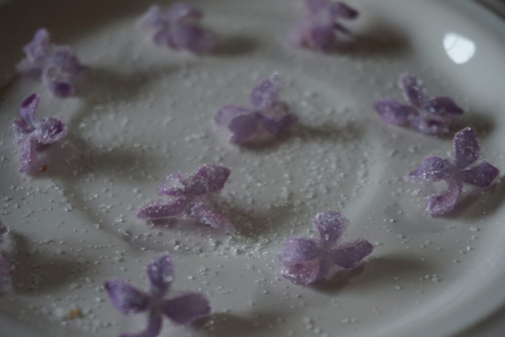 edible lilacs