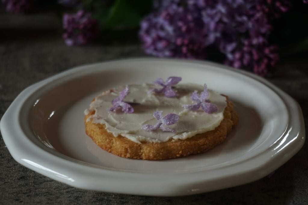 sugared lilac