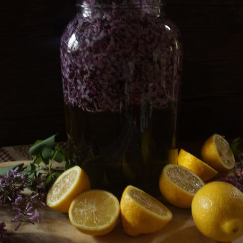 The Outdoor Apothecary edible lilacs - lilac wine in a large glass jug with lemons and lilac flowers on the countertop.