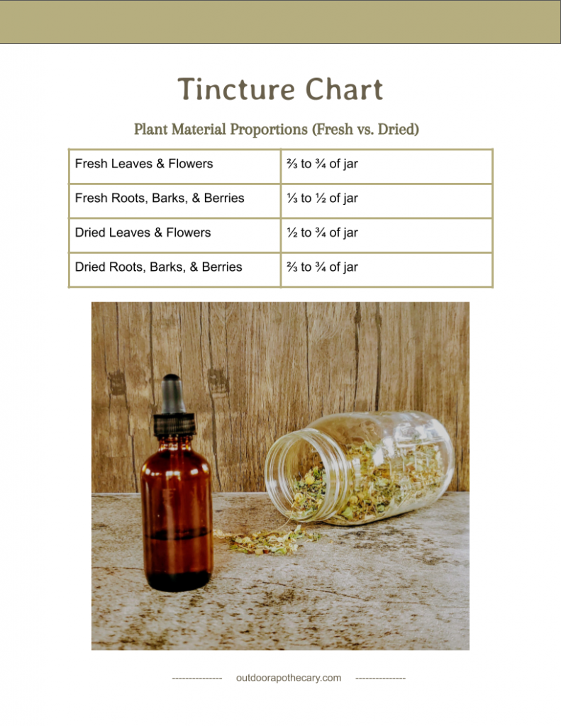 The Outdoor Apothecary how to make an herbal tincture