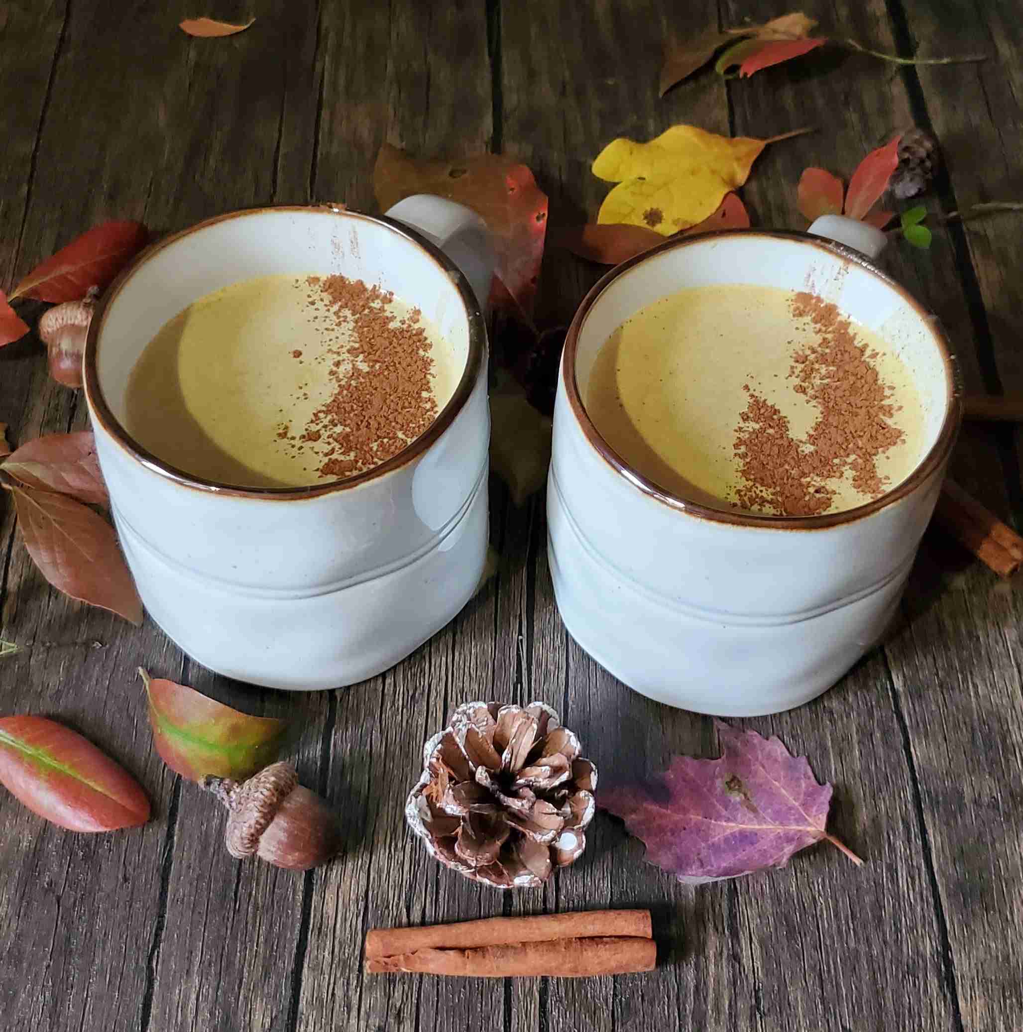 The Outdoor Apothecary Pumpkin spice moon milk