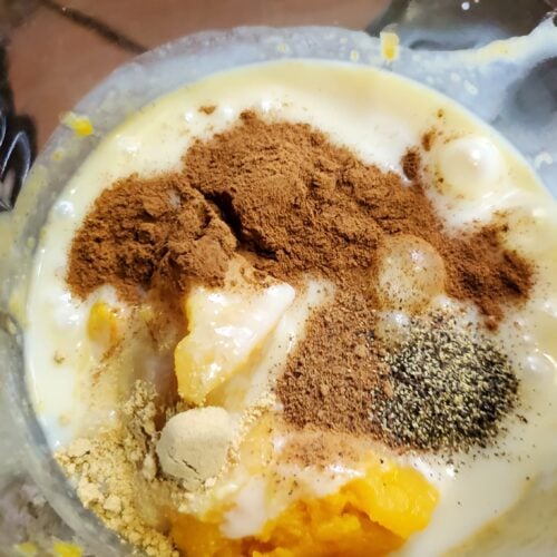 The Outdoor Apothecary recipe for butternut squash pie