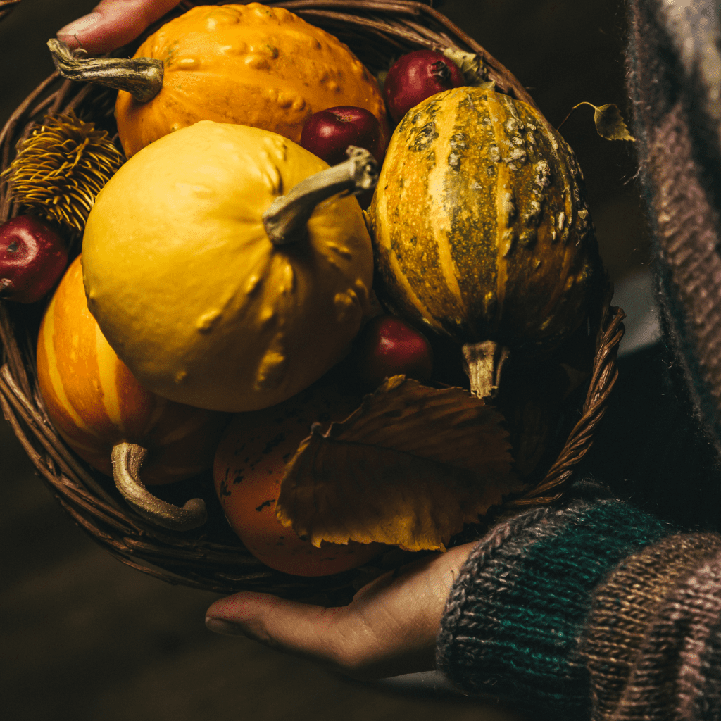 The Outdoor Apothecary celebrating mabon