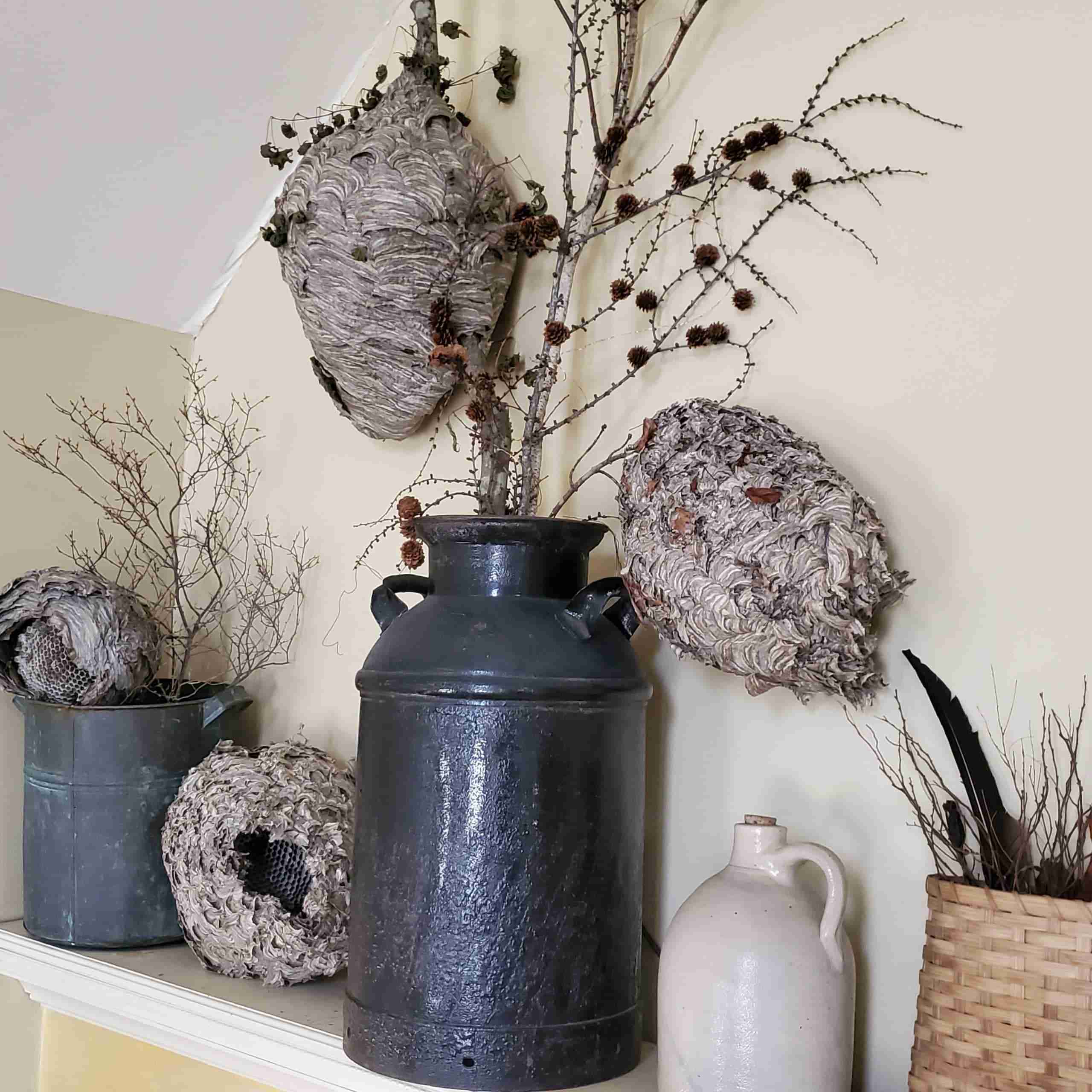 hornet nest hornet nest - home upgrades