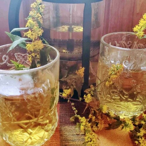 goldenrod tea - goldenrod folklore