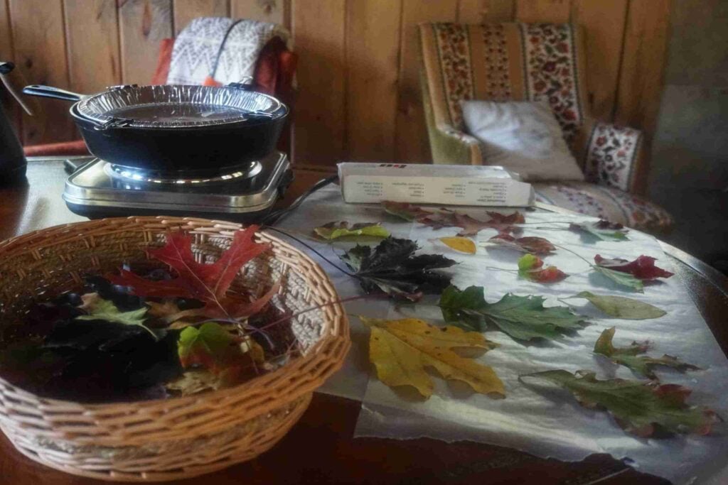 The Outdoor Apothecary waxed leaves