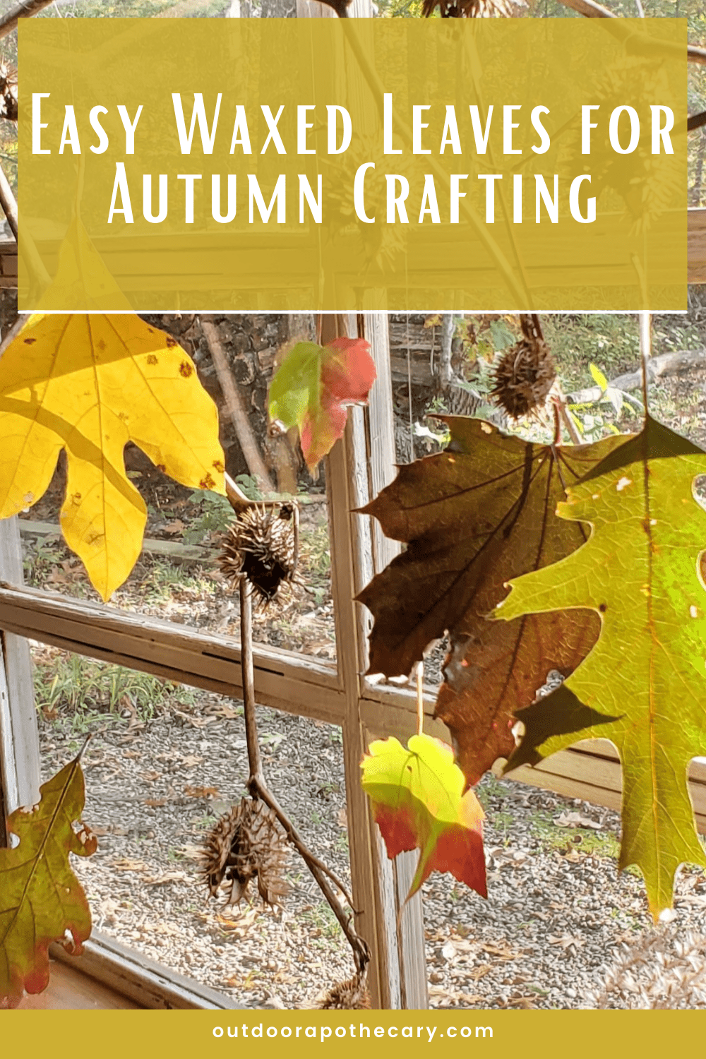 The Outdoor Apothecary waxed leaves