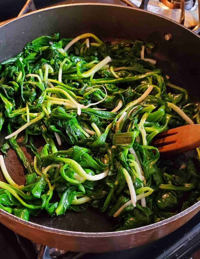 20 Delicious Ramp Foraging Recipes - The Outdoor Apothecary