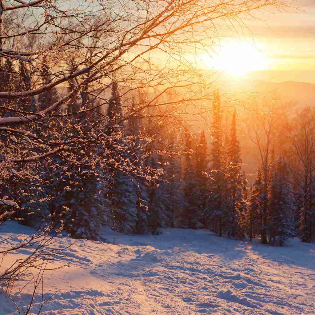 The Outdoor Apothecary nature awakening