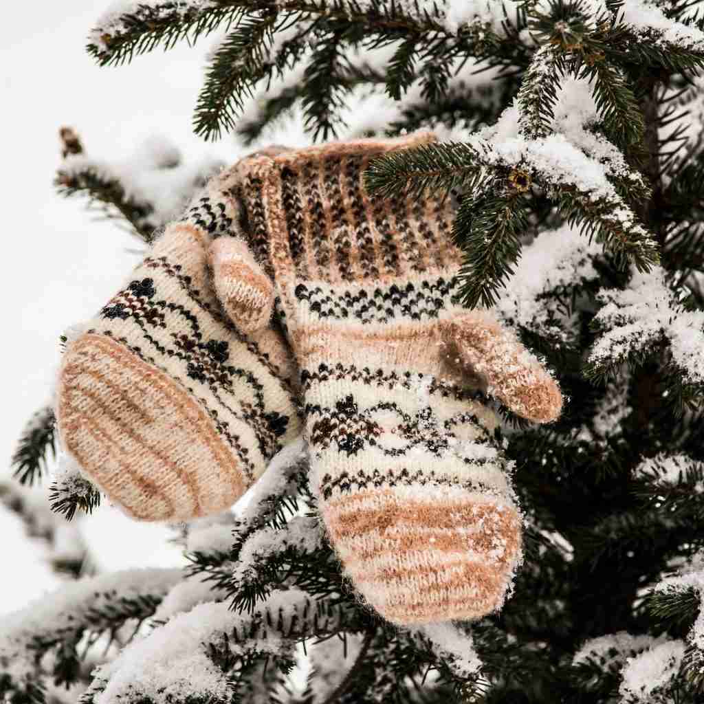 The Outdoor Apothecary nature in winter