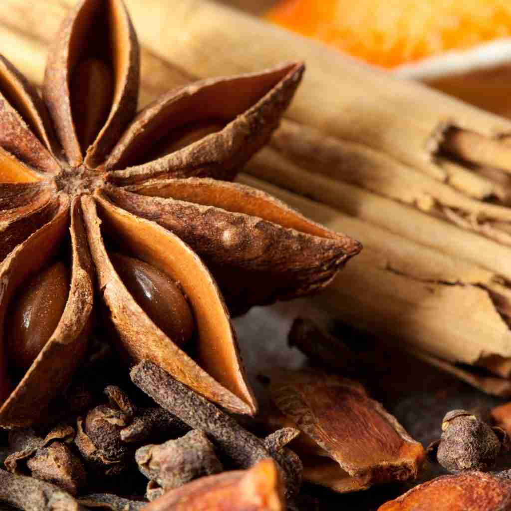 The Outdoor Apothecary mulling spices