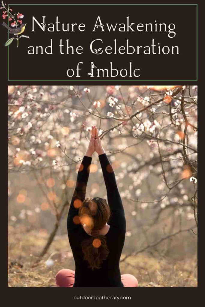 The Outdoor Apothecary nature awakening