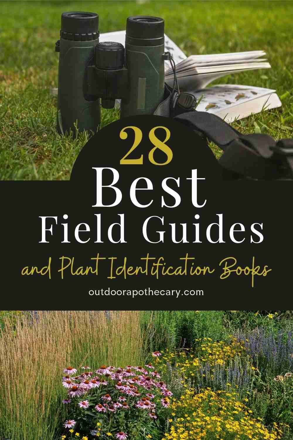 The Outdoor Apothecary field guides