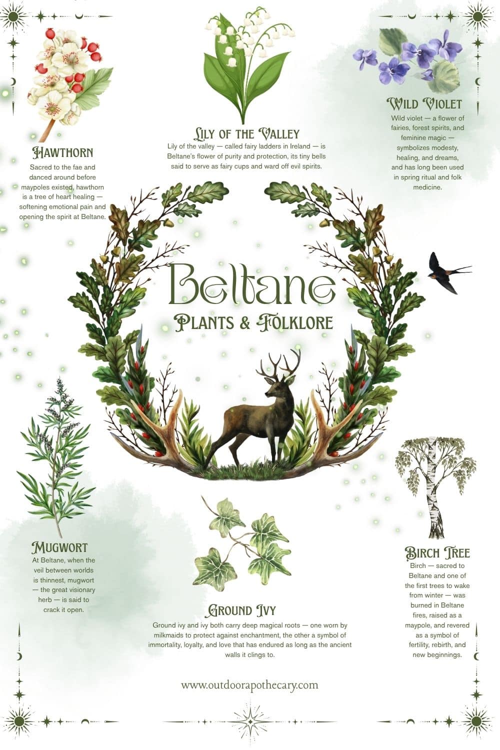 beltane plants and folklore