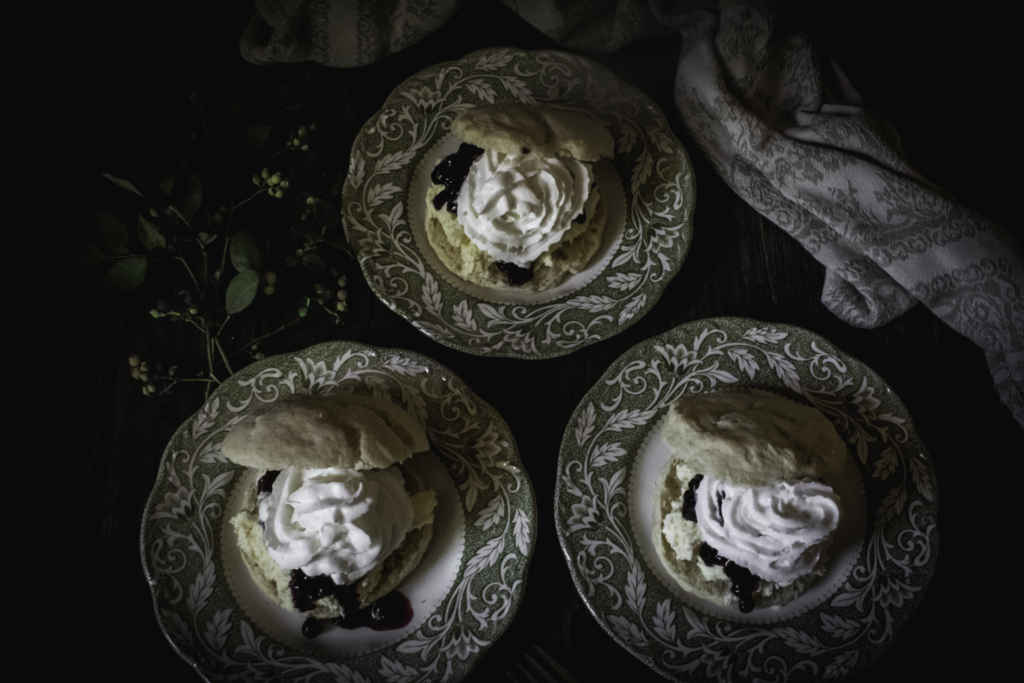 The Outdoor Apothecary blueberry dessert