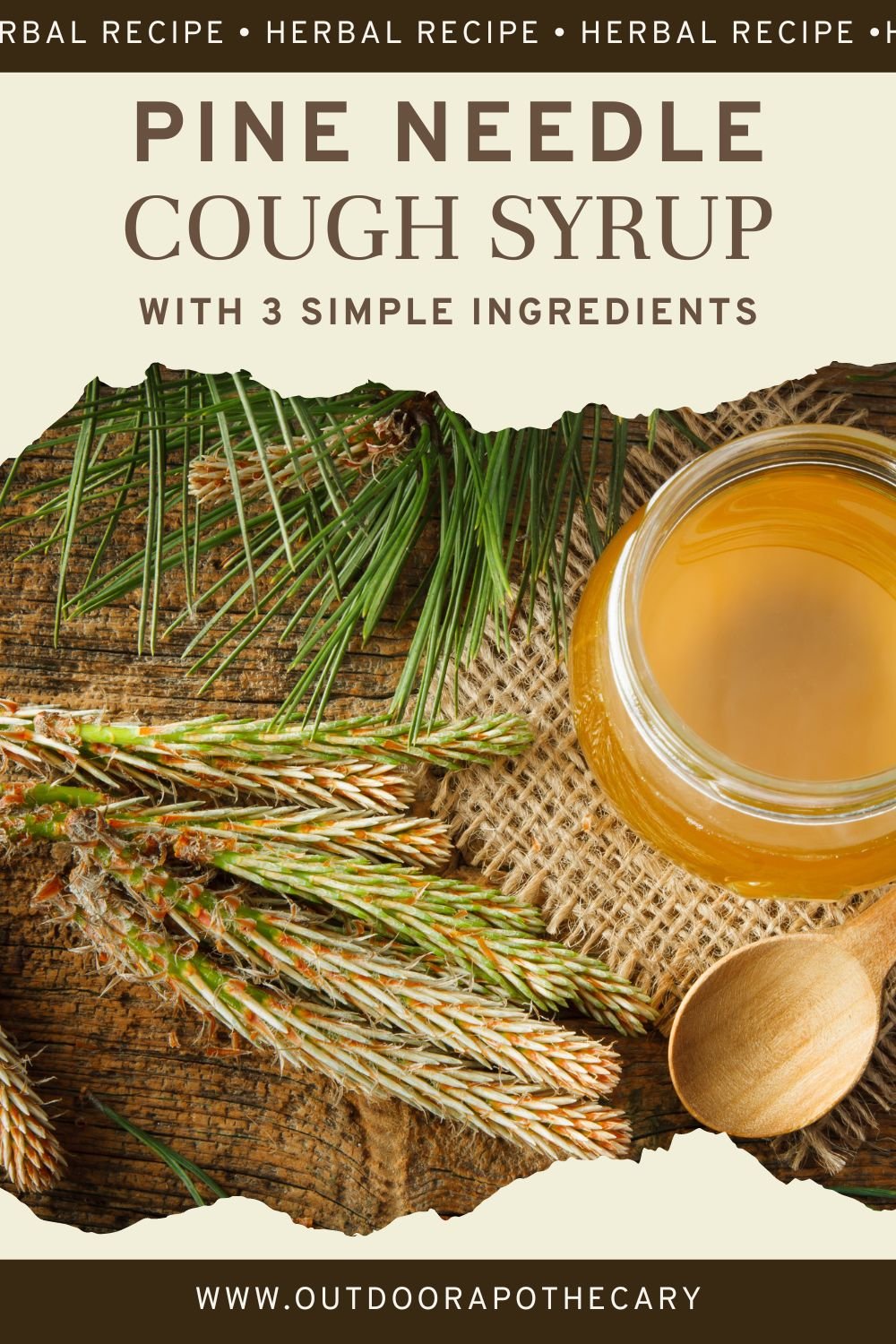 The Outdoor Apothecary pine needle cough syrup