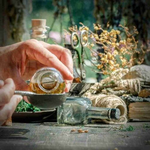 The Outdoor Apothecary pine needle infused honey