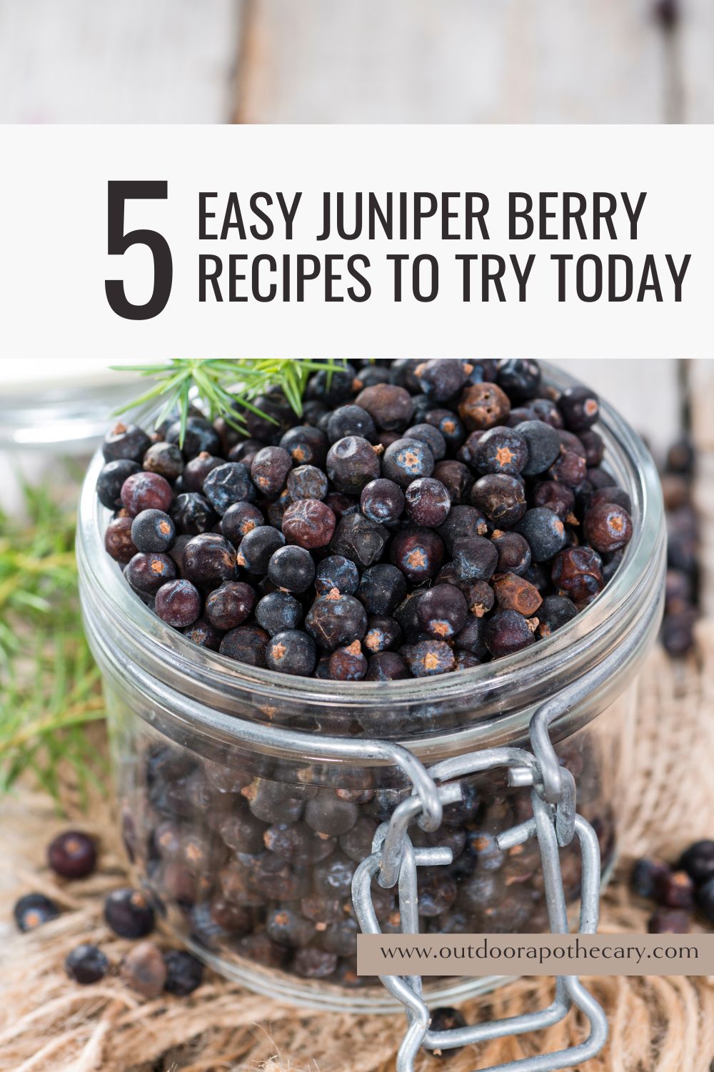 The Outdoor Apothecary juniper berry recipes