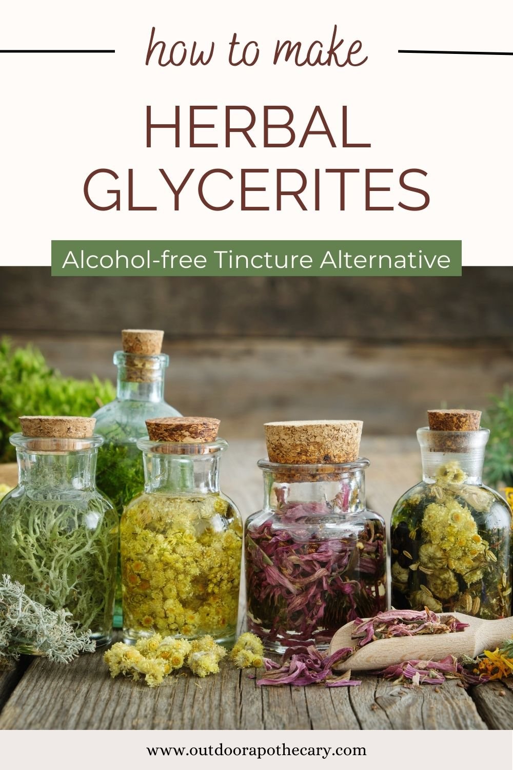 The Outdoor Apothecary herbal glycerites