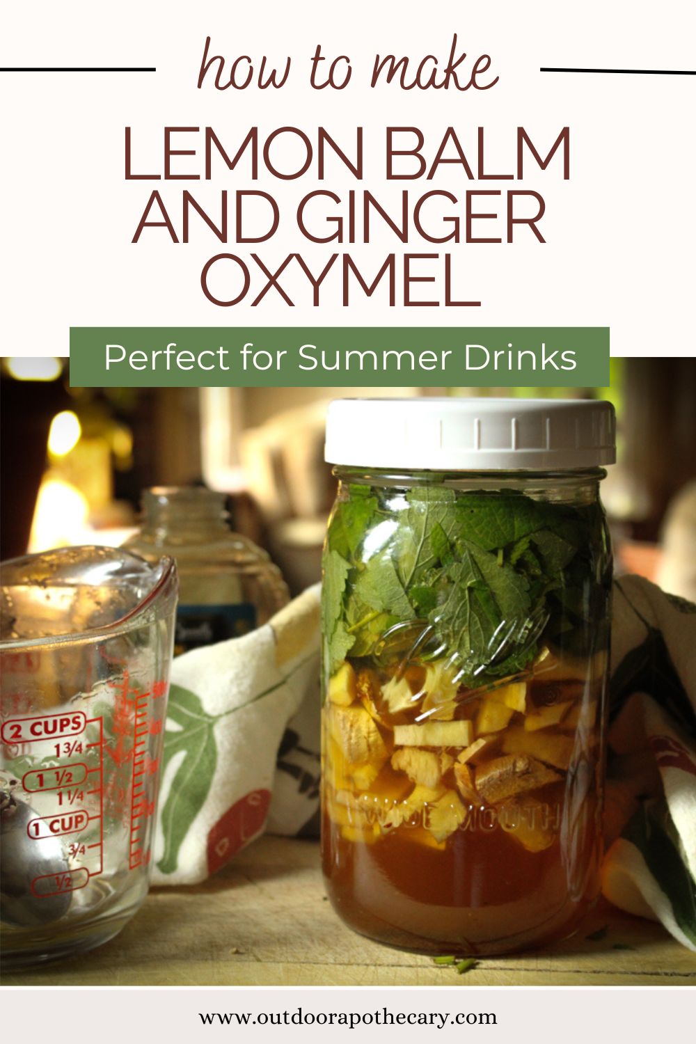 The Outdoor Apothecary lemon balm and ginger oxymel