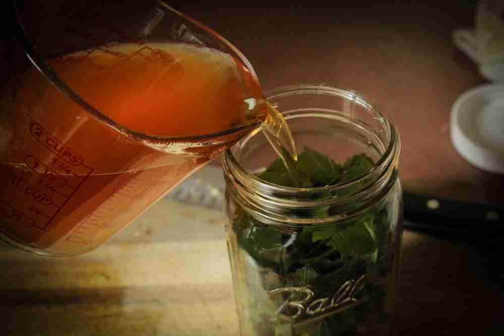 lemon balm and ginger oxymel