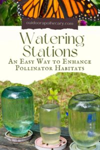 Watering Stations 101: An Easy Way To Enhance Pollinator Habitats - The ...