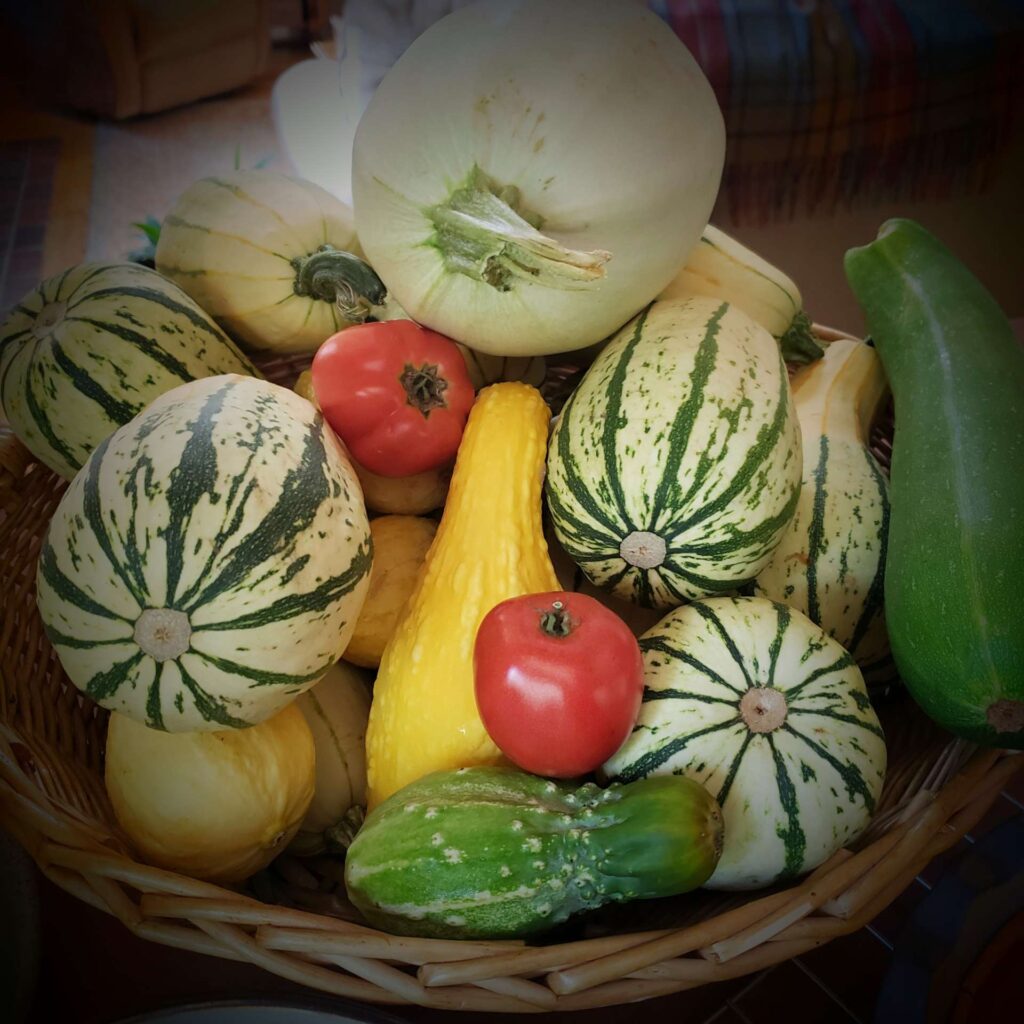 The Outdoor Apothecary garden vegetables in a basket - Reasons to grow your own food