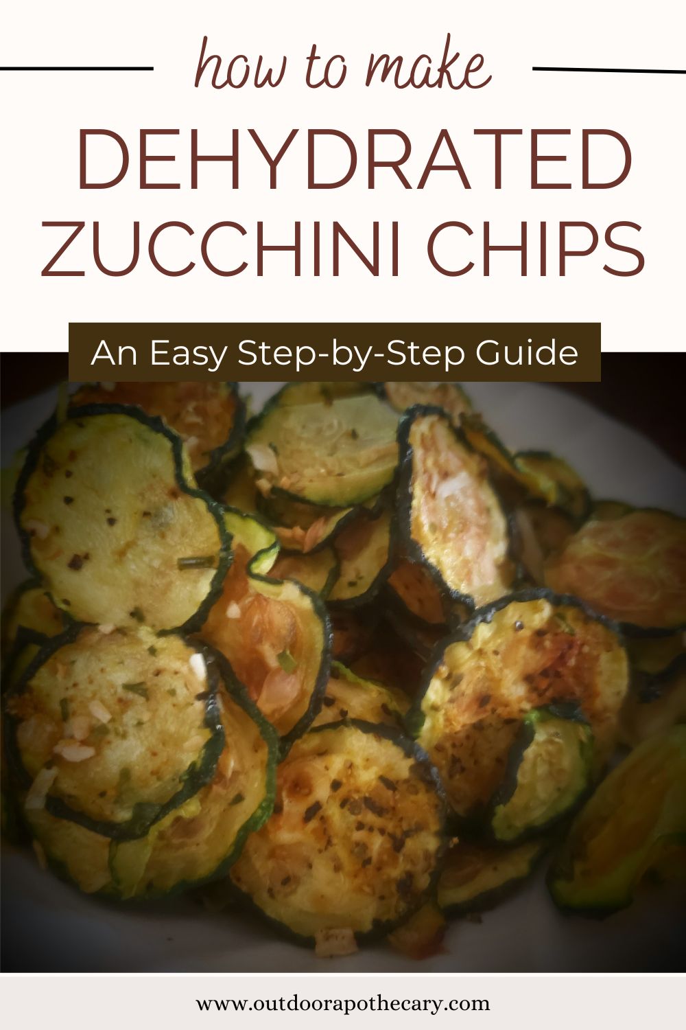 The Outdoor Apothecary Zucchini Chips