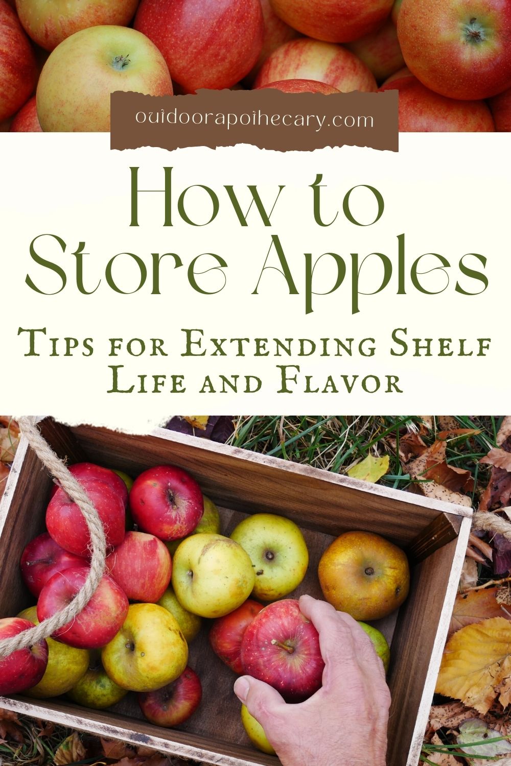 The Outdoor Apothecary store apples