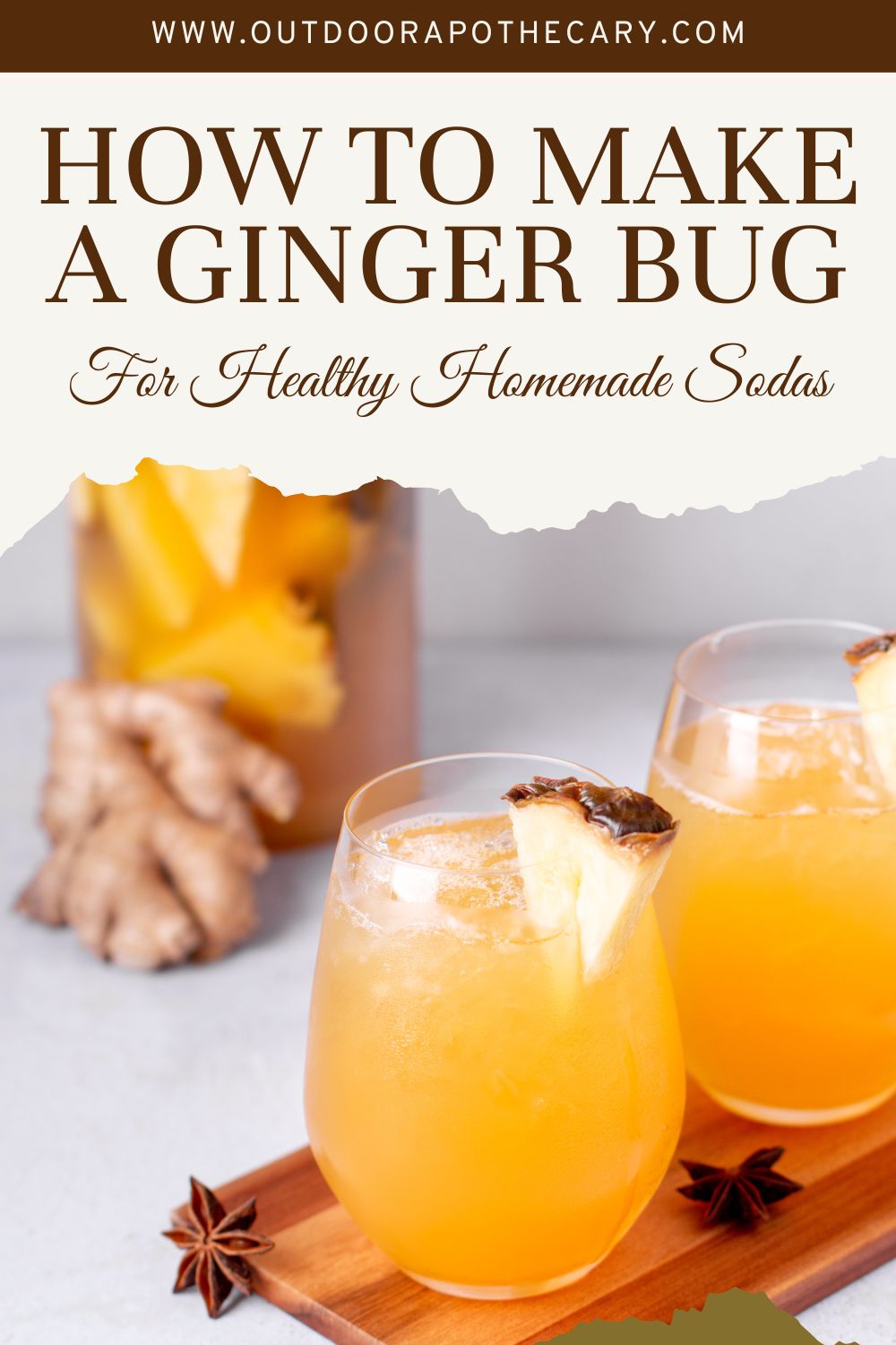The Outdoor Apothecary How to Make a Ginger Bug for Healthy Homemade Sodas