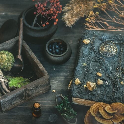 The Outdoor Apothecary moon tea
