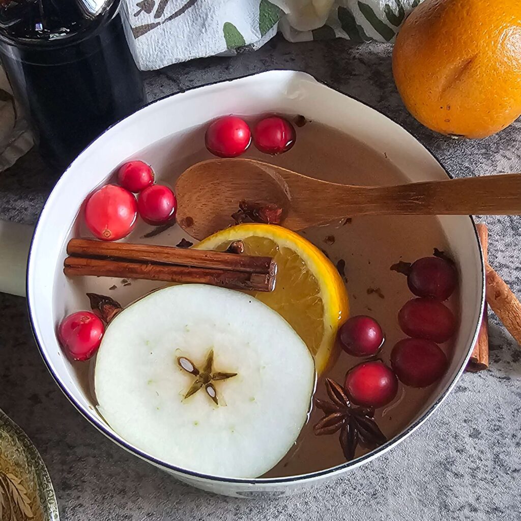 The Outdoor Apothecary simmer pot for fall