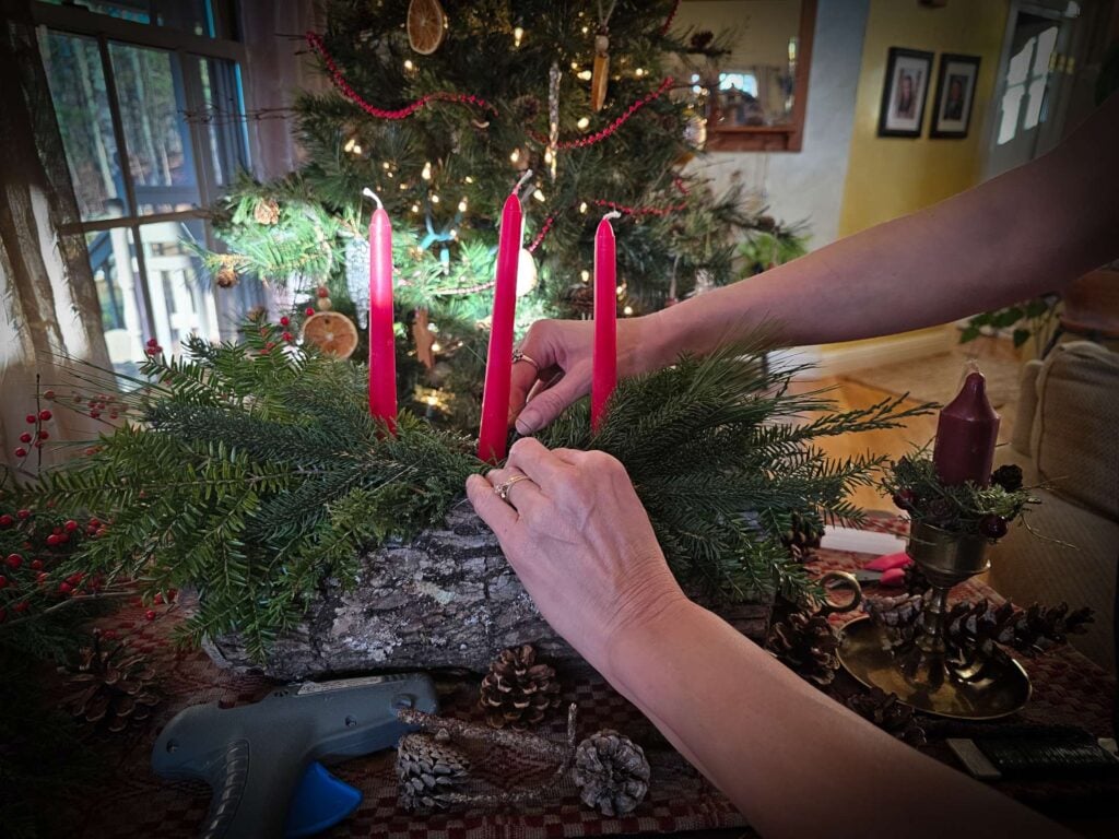The Outdoor Apothecary make your own yule log