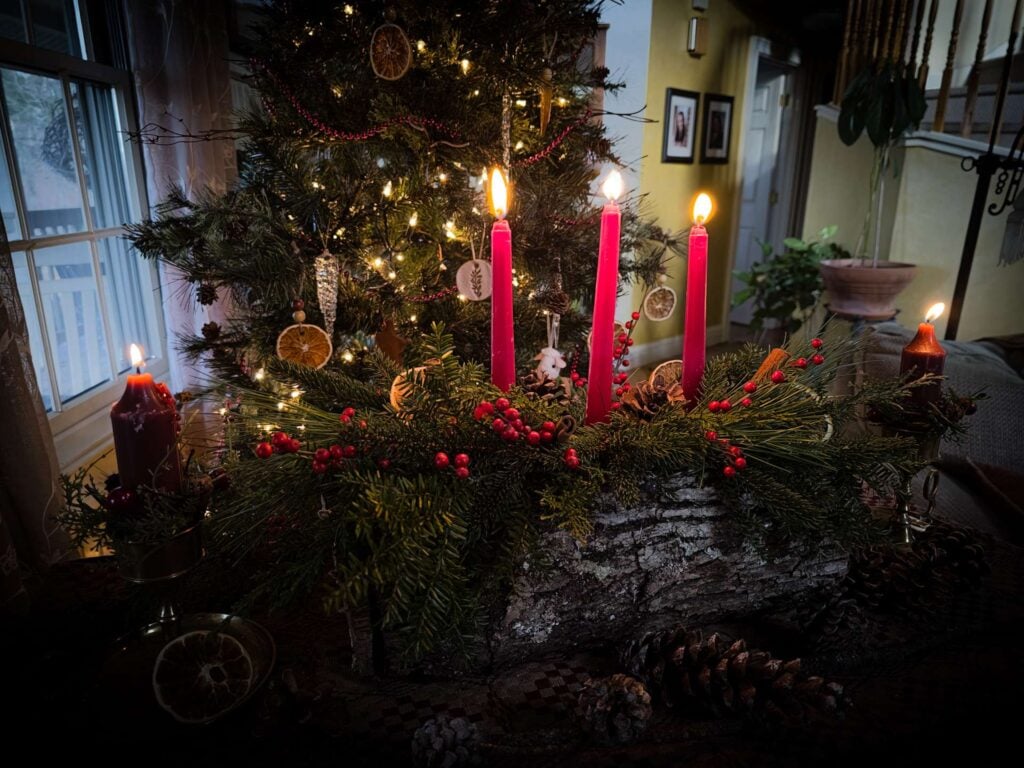The Outdoor Apothecary how to make a yule log