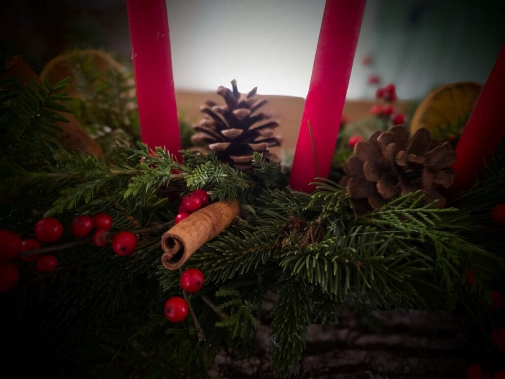The Outdoor Apothecary Celebrating the Winter Solstice