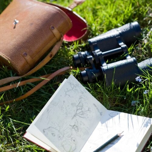 Nature Journaling