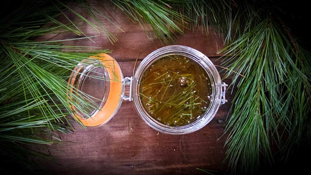 The Outdoor Apothecary pine infused honey