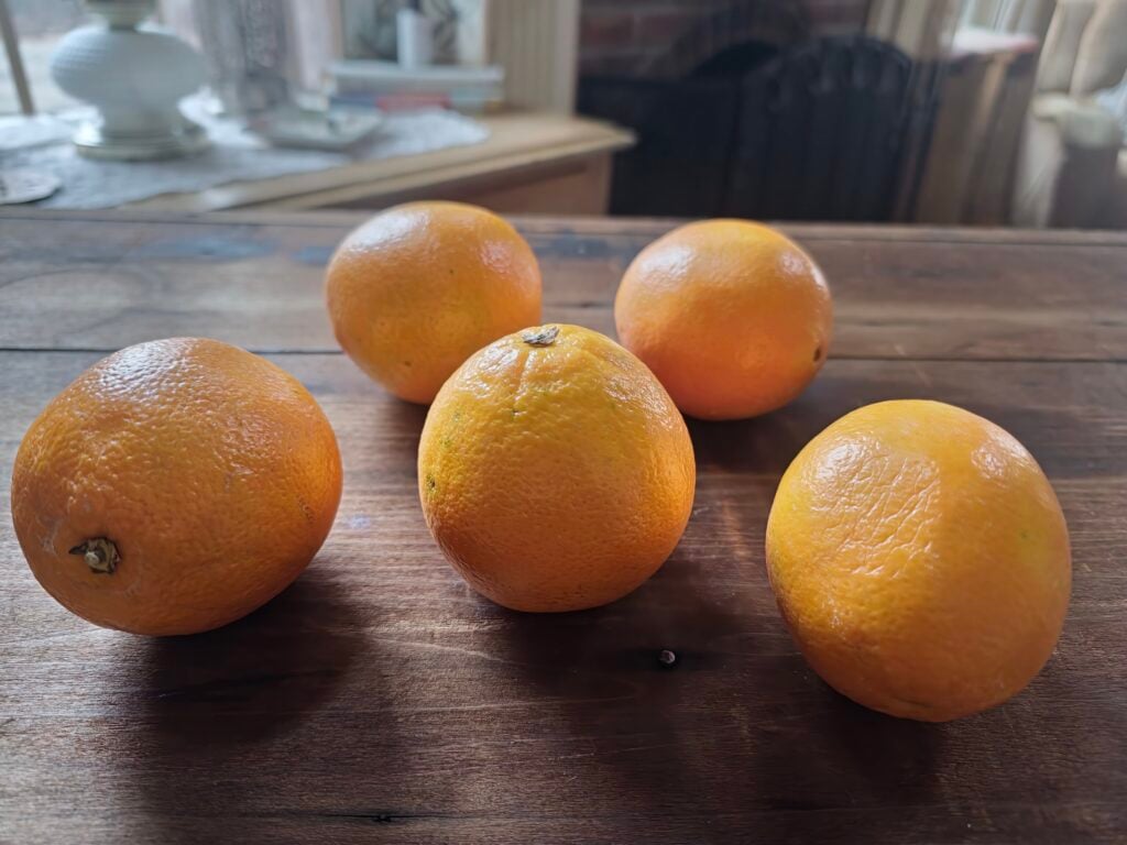 dried orange garland