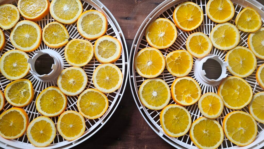 The Outdoor Apothecary dried orange garland - best foods to dehydrate