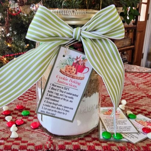 The Outdoor Apothecary christmas cookies in a jar
