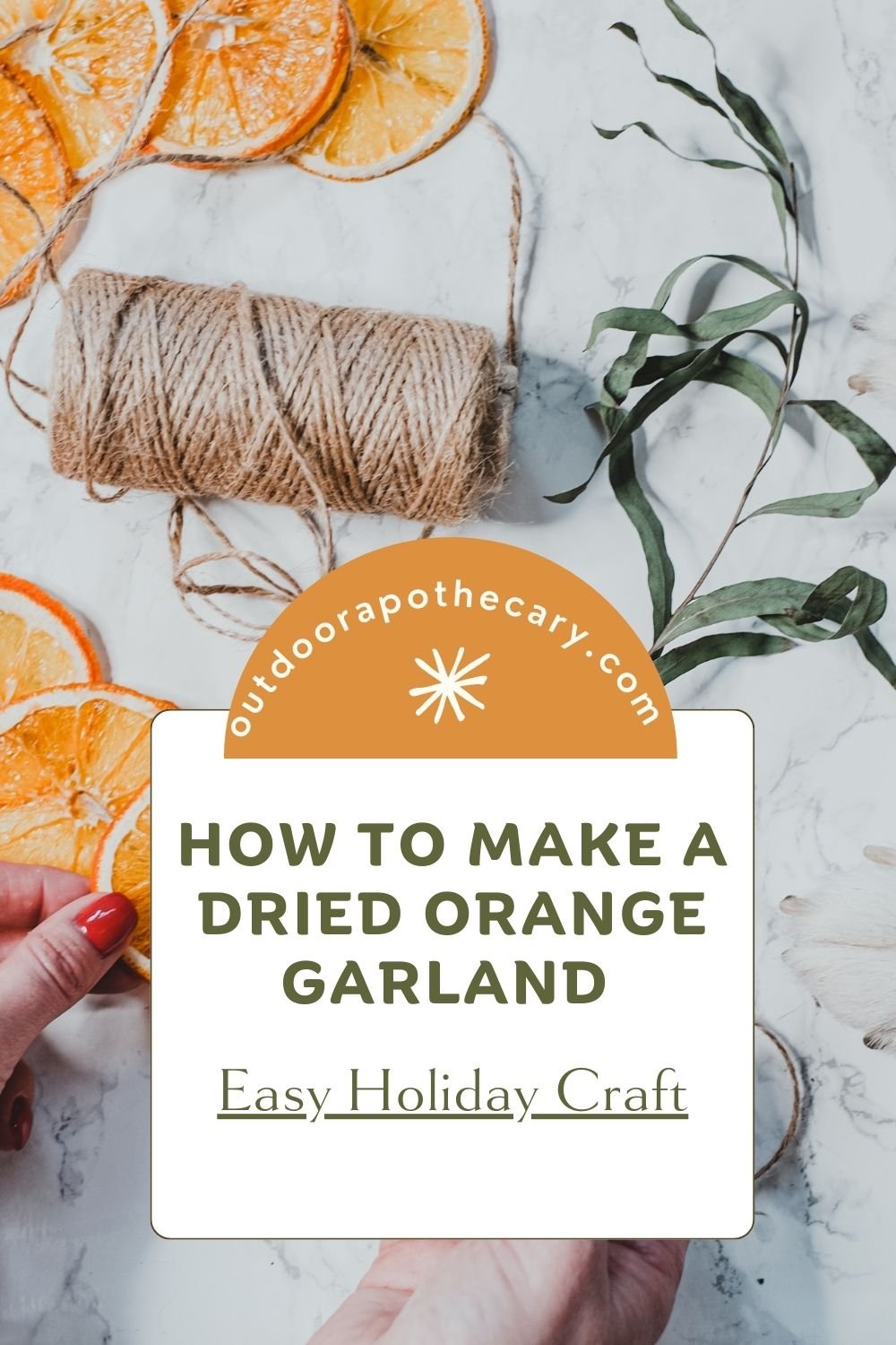 dried orange garland pinterest pin